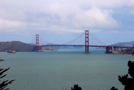 ���-���������